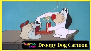 Droopy Dog Cartoon  Full Episodes  By Cartooland cartoon funny [upl. by Ireva]