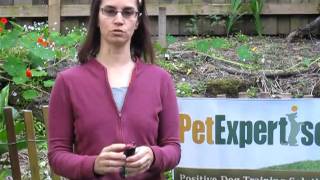 SprayShield Dog Deterrent Spray Demo by Pet Expertise [upl. by Engle395]