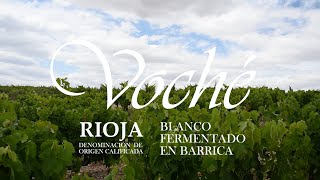 Cata de Voché Blanco Barrica con Carlos Javier Herráez Dir Turismo y WSET3 de Bodegas Manzanos [upl. by Oidacra551]