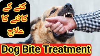 Dog bite treatmentdog bitedog bite injectiondog bite rabieskutte ke katne ka ilaj [upl. by Jolee]