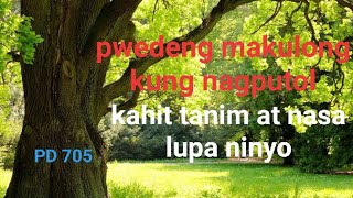 Pwedeng makulong kapag nagputol ng puno sa private property Concepts under PD 705 as amended [upl. by Goulden]