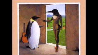 Flux  Penguin Cafe Orchestra [upl. by Cates958]