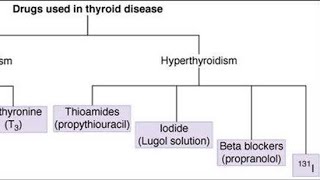 Examples of Antithyroid Drugs  Drugs that decrease thyroid hormone Thyroxine Triiodothyronine [upl. by Queenie]