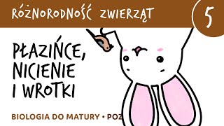 Różnorodność zwierząt 5  Płazińce nicienie i wrotki  matura z biologii rozszerzona [upl. by Walley58]