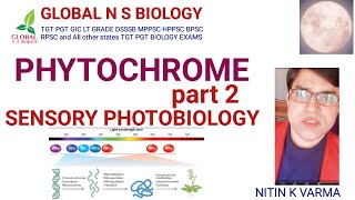 PHYTOCHROME  part 2  Sensory photobiology [upl. by Jocelyn269]