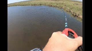 Sight Fishing Redfish in the Louisiana Marsh [upl. by Akissej]