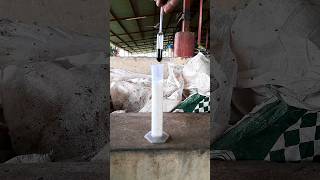 Water in Milk Test  Lactometer Experiment [upl. by Leler]