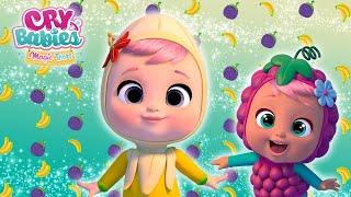 TUTTI FRUTTI PARTY 🍑🍉 CRY BABIES 💧 MAGIC TEARS 💕 Full Episodes 🌈 CARTOONS in ENGLISH [upl. by Morice]