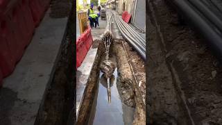 বাহিরের দেশের মানুষরা কতটা আধুনিক দেখুন 😱 Underline pipe laying [upl. by Eitsyrk]