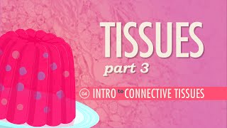 Tissues Part 3  Connective Tissues Crash Course Anatomy amp Physiology 4 [upl. by Ming382]