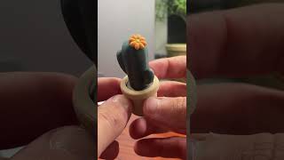 3D Printed Accessories you need to print Part 1 cute planters homedecor fun [upl. by Lemart]