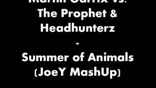 Martin Garrix vs The Prophet amp Headhunterz  Summer of Animals JoeY MashUp [upl. by Jenine]