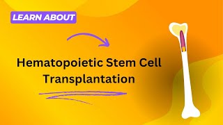 Hematopoietic Stem Cell Transplantation [upl. by Lleze]