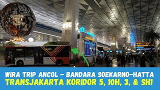 TIPS Cara ke Bandara Soekarno Hatta dari Ancol  TransJakarta Koridor 5  10H  3  SH1 [upl. by Mildrid373]