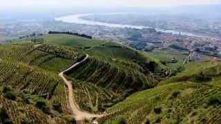 Discover The Wines of the Rhone Valley Part 1 of 3 [upl. by Enirok476]