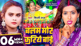 Video  शिल्पी राज  बलम मोर करिये बाड़े  Shilpi Raj  Parul Yadav  Bhojpuri Hit Song [upl. by Valentina]