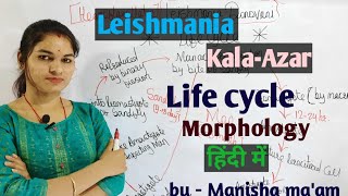 Leishmania Donovani  life cycle  Morphology  Parasitology By Manisha Maam [upl. by Topper]