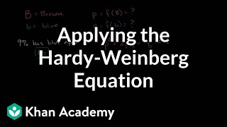 Applying the HardyWeinberg equation  Biomolecules  MCAT  Khan Academy [upl. by Gloriana947]