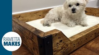 How to Build a Custom Dog Bed  DIY [upl. by Itsur]