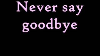 Bon Jovi  Never Say Goodbye Lyrics [upl. by Lecrad38]