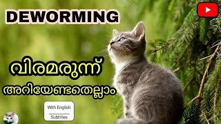 How to deworm a cat in Malayalam 🤔  പൂച്ചയെ എങ്ങനെ ഡിവോം ചെയ്യാം  Friendly Pets Malayalam [upl. by Dott]