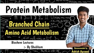 Amino acid biochemistry  amino acid structure and function [upl. by Norman42]