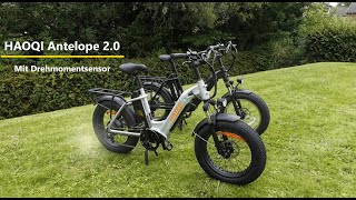 HAOQI Antelope 20 Neu mit Drehmomentsensor und Vorgängermodell 20Zoll x 4Zoll [upl. by Nahsab]