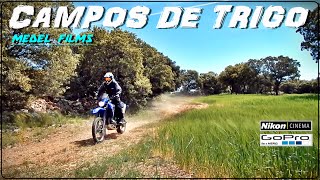 CAMPOS DE TRIGO yamaha xt660r [upl. by Dnomra]