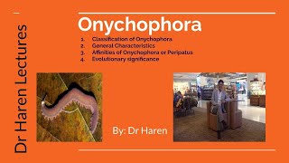 Onychophorans [upl. by Barbarese896]