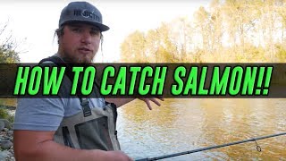 HOW TO Catch A Salmon  COMPLETE Guide To SUCCESS Salmon Fishing [upl. by Skipper]