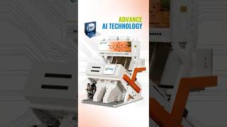 Multi color sorter with Advanced AI TechnologyThis machine is designed for easy operation by anyone [upl. by Ime]