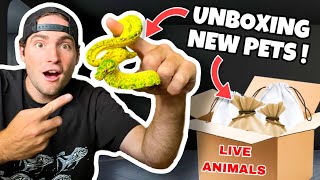 UNBOXING NEW EXOTIC PETS  WHAT DID WE GET [upl. by Dhruv]