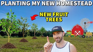 Planting Fruit Trees On My New Homestead Property [upl. by Aicinet362]