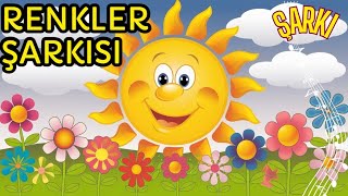 RENKLERİ ÖĞRENİYORUZ RENKLERİN ŞARKISI çocukşarkıları [upl. by Anial205]