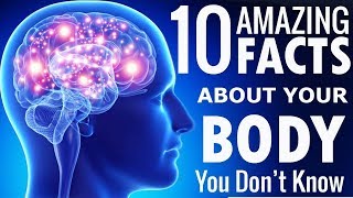 10 Amazing Facts About Human Body You Dont Know About  Astounding Facts [upl. by Sirtemed]