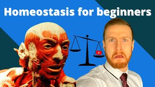 HOMEOSTASIS Fundamentals AQA ALevel Biology [upl. by Eustazio]