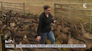 LE FEUILLETON  Dans lIndre ils réalisent leur rêve déleveurs de chèvres [upl. by Phare876]