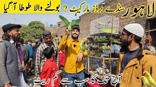 Lahore sunday birds market new update price  😱🦜 lahorientertainmentchannel 2024 shortvideo [upl. by Nnylyahs]