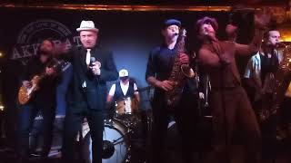 THE BEAT FROM PALOOKAVILLE quotrhythm amp ska live part 1quot Akkurat Stockholm 5112023 [upl. by Nafri]