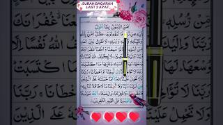 Surah Baqarah Last 2 Ayat Beautiful Recitation quran surah shorts [upl. by Aliam]