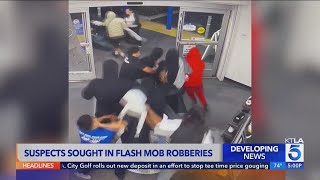 Flash robbery crew seen violently ransacking Southern California stores [upl. by Greenland757]