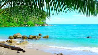 🌴 Tropical Beach Ambience on a Island in Thailand with Ocean Sounds For Relaxation amp Holiday Feeling [upl. by Esela615]