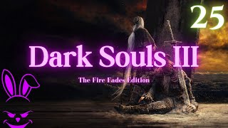 HAND BABIES  Dark Souls III TFFE  Part 25 Irithyll Dungeon Profaned Capital [upl. by Nitsruk450]