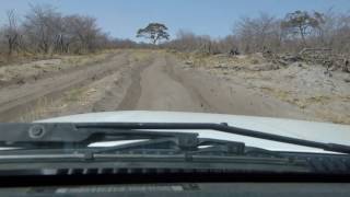 Day 2 Linyanti to Savuti along the cut line Very very sandy in places [upl. by Asiela]