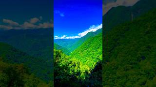 TREK TO KANGCHENJUNGA shorts viralshort youtubeshorts travel sikkim kangchenjunga trekking [upl. by Ariajaj514]