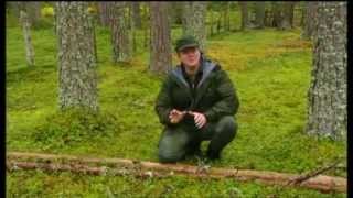 RAY MEARS FOUR SEASONS IN BRITAIN [upl. by Abbye]