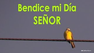 Bendice mi día Señor  Oración de la Mañana [upl. by Blasien98]