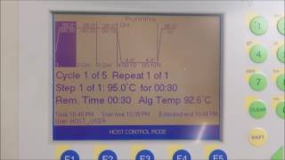 BioRad IQ Real Time PCR System [upl. by Magdalene]