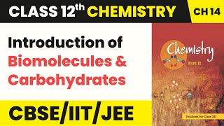 Class 12 Organic Chemistry Ch 14 Introduction of Biomolecules amp Carbohydrates Biomolecules 202223 [upl. by Jud]