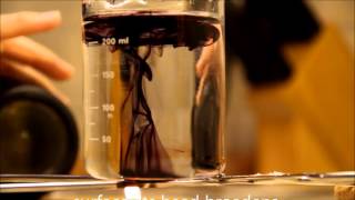 Endo Youtube Challenge 2013  Convection [upl. by Sibelle]